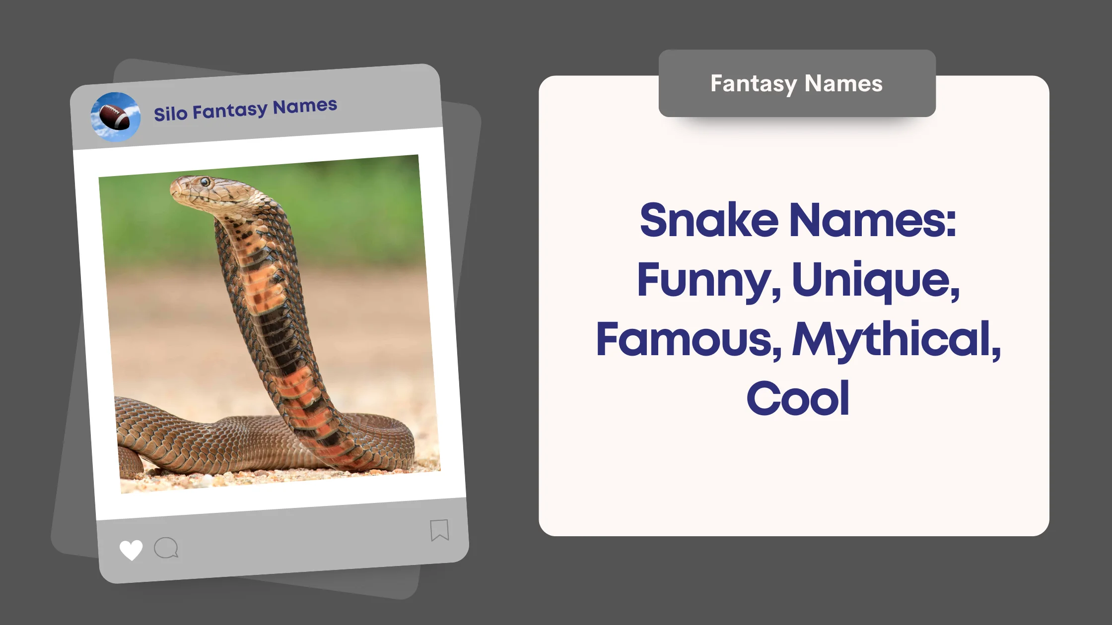 Snake Names