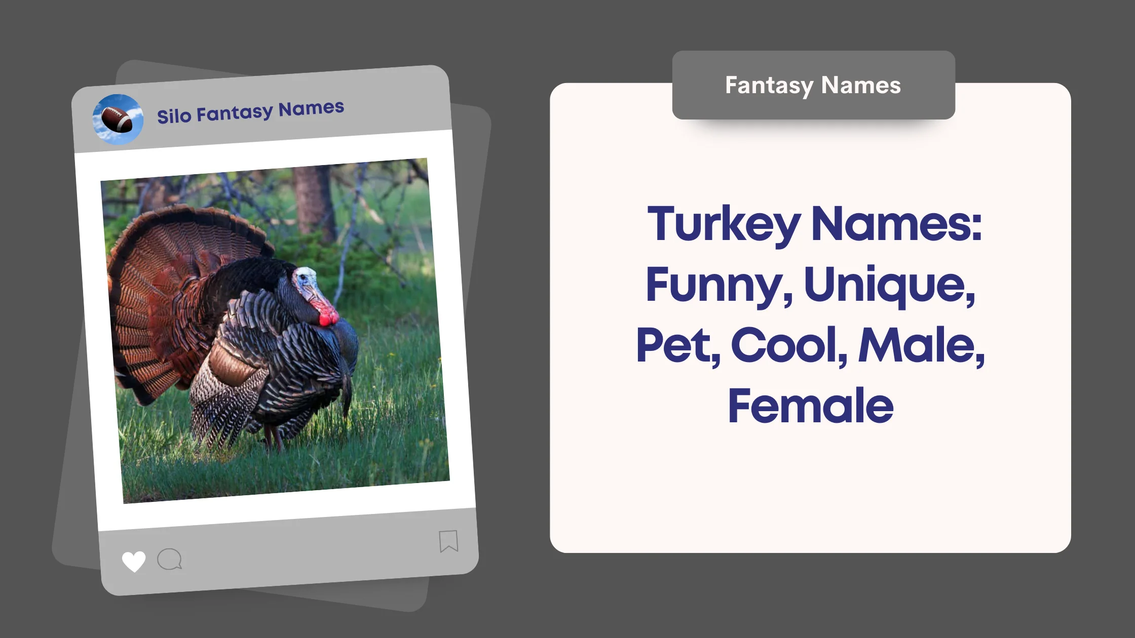 Turkey Names