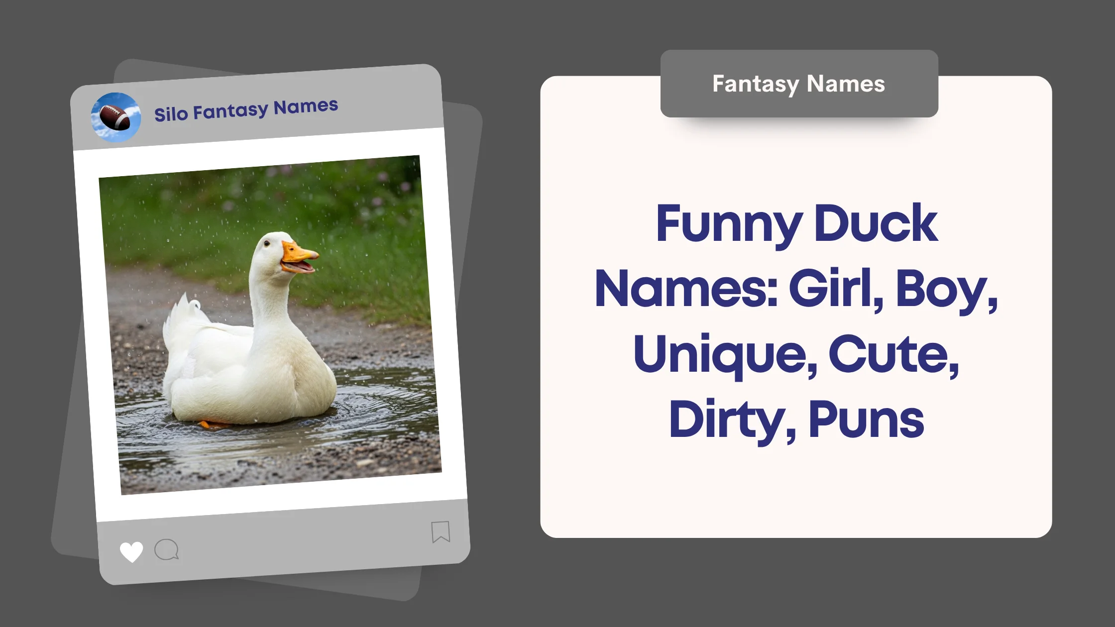 Funny Duck Names