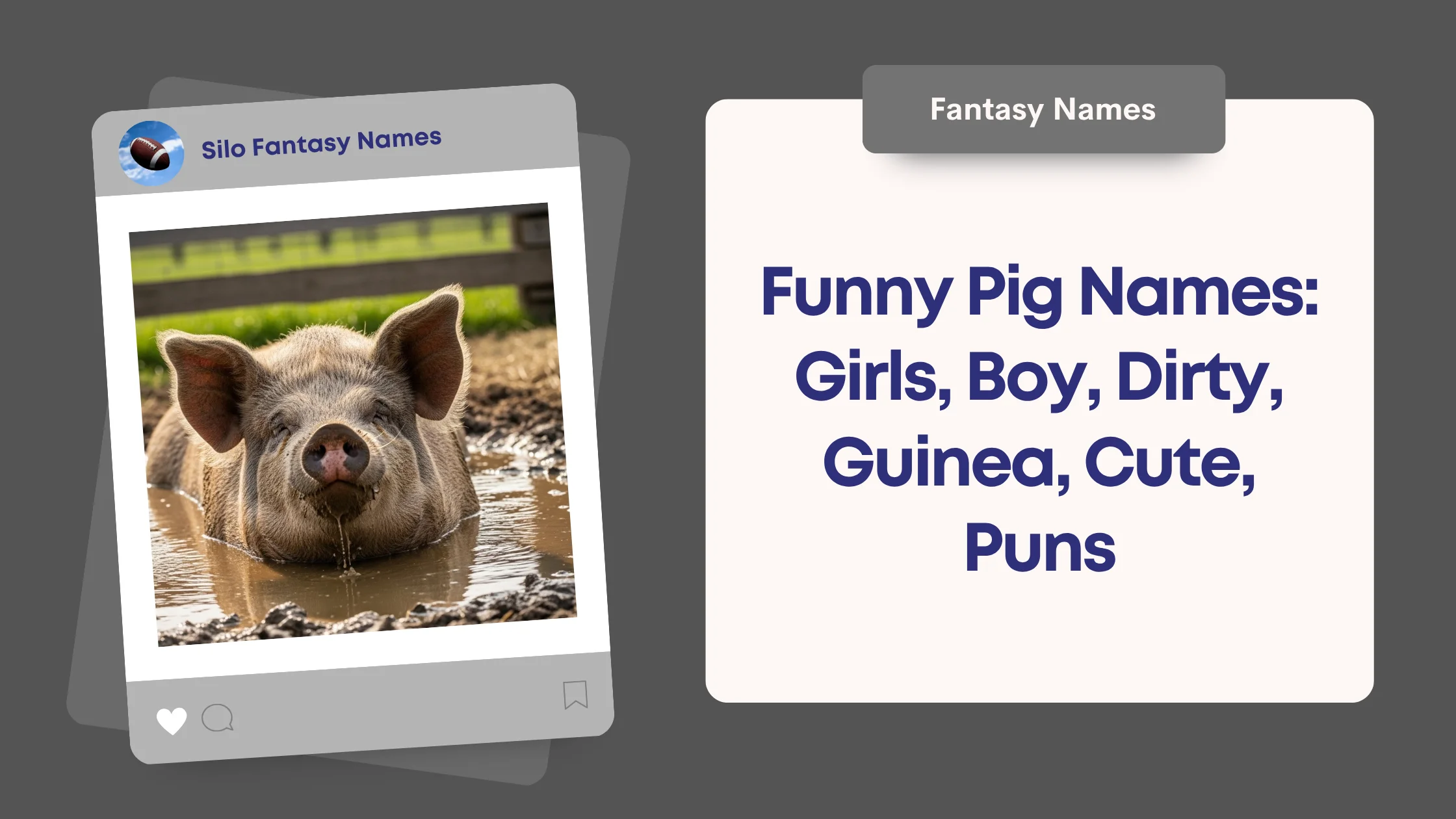 Funny Pig Names