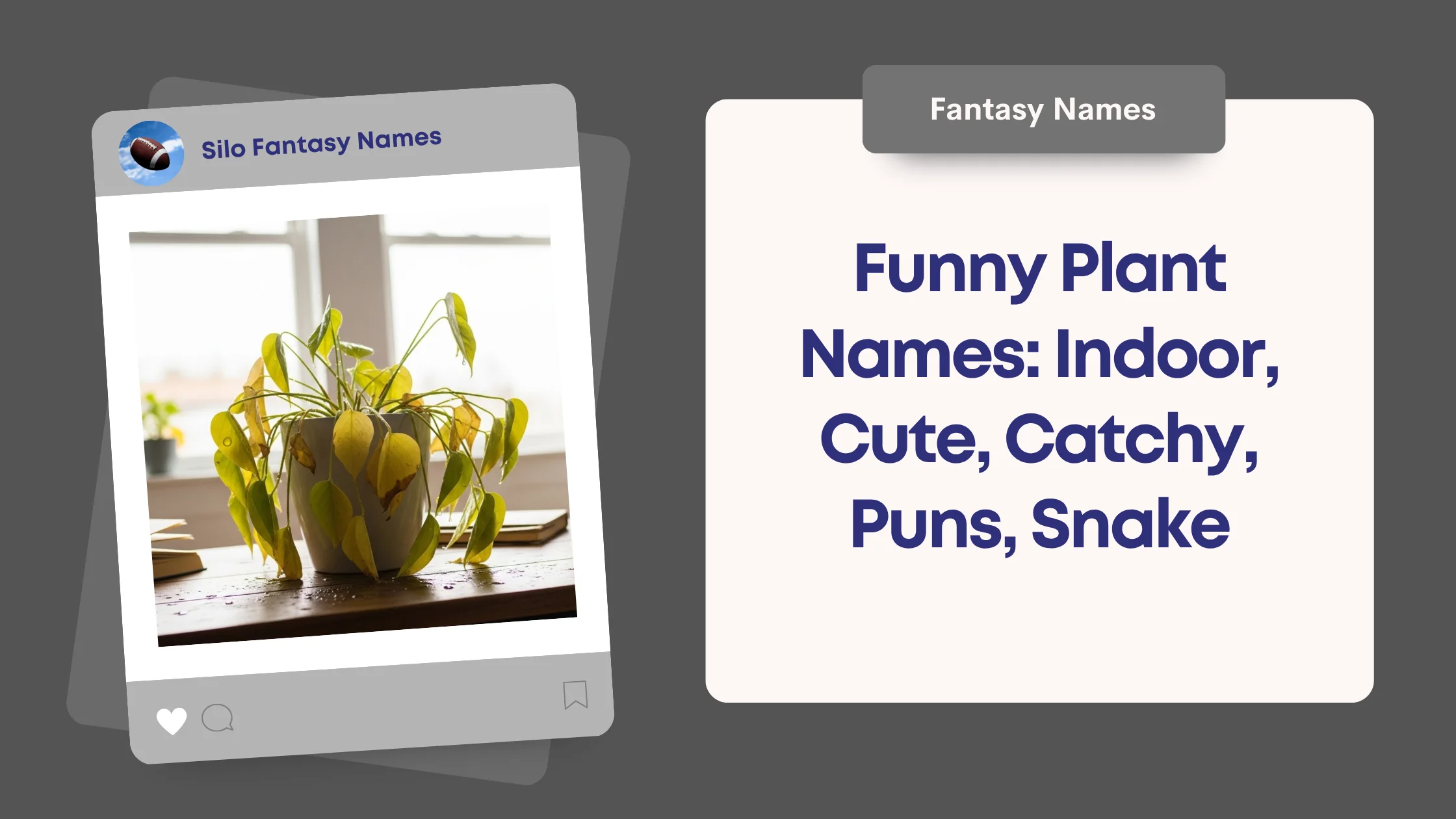 Funny Plant Names